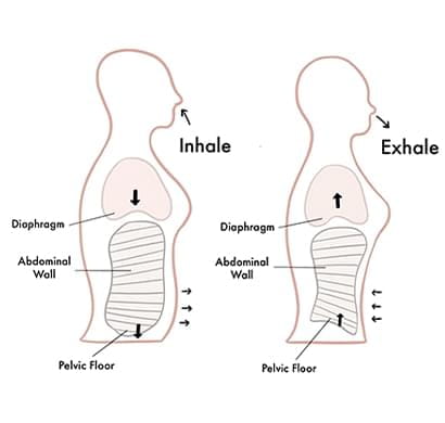 Inhale exhale illustrations.